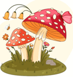 0601wmxv-3393-149x157.png