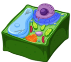 0601wmy4-5de8-147x127.png