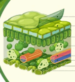 0601wmyt-5766-148x162.png