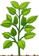 0601wn00-3f8d-139x196.png