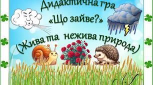 Дидактична гра "Що зайве?" ( Жива та нежива природа)