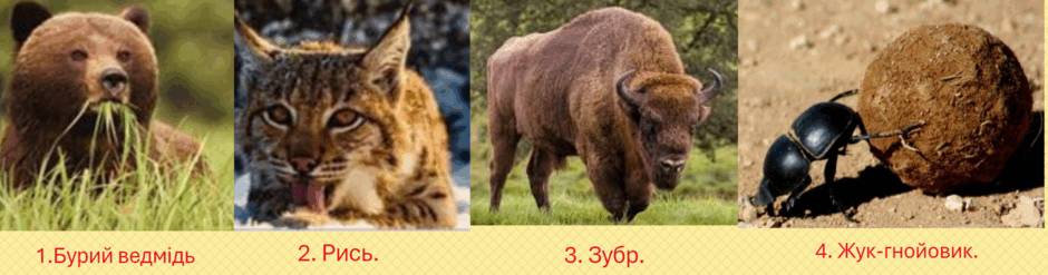 0601wp9v-acd7-940x247.png