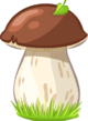 0601wpo2-0d91-80x109.png