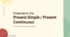 Grammar in Use: Present Simple / Present Continuous