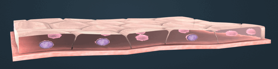 0601wvao-633e-940x236.png
