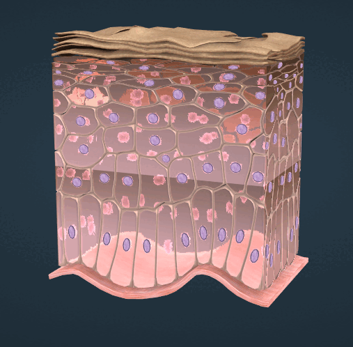 0601wvar-6ff3-507x498.png