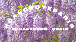 Веселкова вечірка. Кольоротерапія - ФІОЛЕТОВИЙ колір