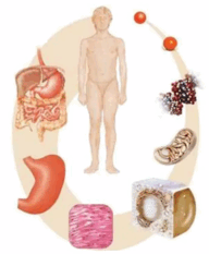 0601wx2p-c075-192x233.png