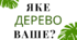 Тест на визначення самооцінки "Яке дерево ваше?"