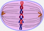 0601wxli-e7e8-170x120.png
