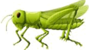 0601wxlu-dcd5-130x73.png
