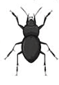 0601wxlv-d9dd-86x124.png