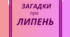 ЛИПЕНЬ. Хвилинка відпочинку, кмітливості та ерудиції - ЗАГАДКИ