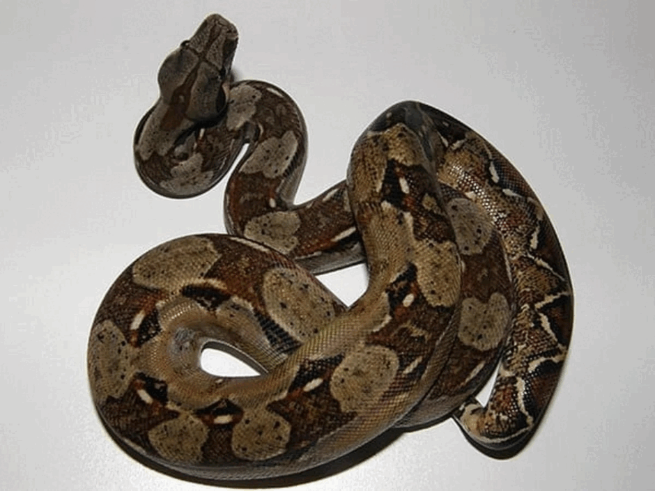 0601wy3f-0036-940x705.png