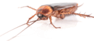 0601wy7p-6acc-133x59.png