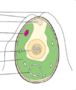 0601wzwr-c3bc-76x90.png