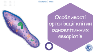 Урок на тему "Особливості організації клітин одноклітинних евкаріотів" (Конспект, презентація, робочі аркуші)