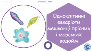 Урок на тему "Одноклітинні евкаріоти мешканці прісних і морських водойм" (Конспект, презентація, робочі аркуші)