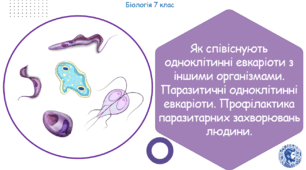 Урок на тему "Як співіснують одноклітинні евкаріоти з іншими організмами. Паразитичні одноклітинні евкаріоти. Профілактика паразитарних захворювань людини" (Конспект, презентація, робочі аркуші)