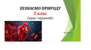 5 клас. Презентація "Серце і кровообіг"