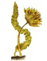0601x0nx-3436-168x214.png