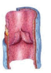 0601x2lr-643e-105x150.png