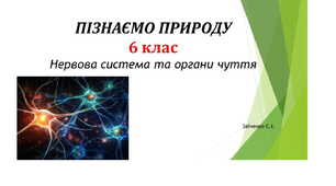 6 клас. Презентація "Нервова система та органи чуття"