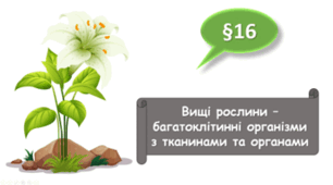   7 клас НУШ. Вищі рослини – багатоклітинні організми з тканинами та органами