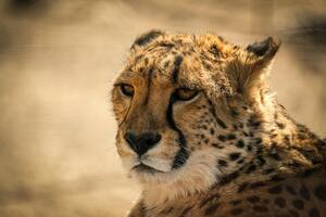 0601x3w0-9fd4-300x200.jpg
