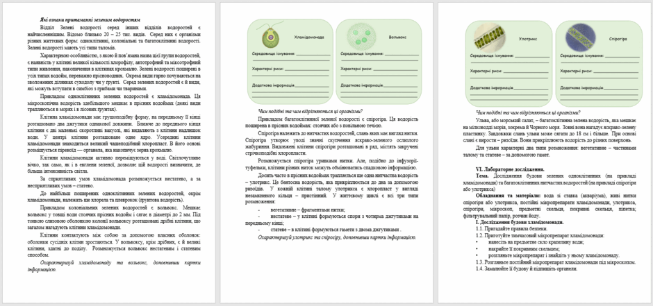 0601x5di-9e47-940x441.png