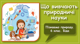 Що вивчають природничі науки