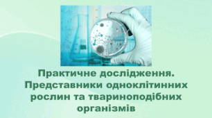 6 клас НУШ. "Практичне дослідження. Представники одноклітинних рослин та твариноподібних організмів" (за модельною програмою та підручником Коршевнюк Т.В.)