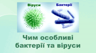 6 клас НУШ. "Чим особливі бактерії та віруси" (за модельною програмою та підручником Коршевнюк Т.В.)