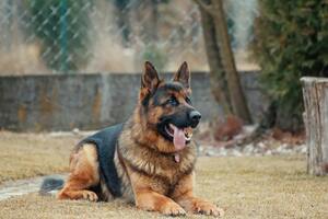 0601x9fk-bd77-300x200.jpg