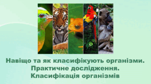 6 клас НУШ. "Навіщо та як класифікують організми" (за модельною програмою та підручником Коршевнюк Т.В.)