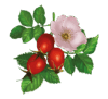0601xcd9-436e-100x91.png