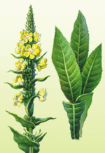 0601xcfj-2926-150x218.png