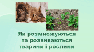 6 клас НУШ. "Як розмножуються та розвиваються тварини і рослини" (за модельною програмою та підручником Коршевнюк Т.В.)
