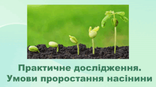 6 клас НУШ. "Практичне дослідження. Умови проростання насінини" (за модельною програмою та підручником Коршевнюк Т.В.)
