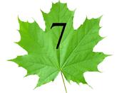 0601xd3a-ca2e-164x131.jpg