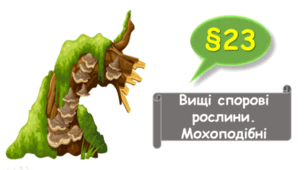   7 клас НУШ. Вищі спорові рослини. Мохоподібні