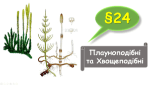    7 клас НУШ. Плауноподібні та Хвощеподібні