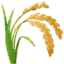 🌾
