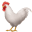 🐓