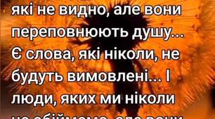 Цитата Дня