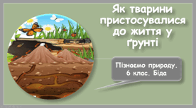 Як тварини пристосувалися до життя у ґрунті