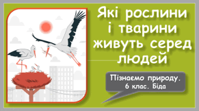 Які рослини і тварини живуть серед людей. 6 клас НУШ