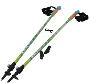 0601xgfs-e2bc-300x284.png