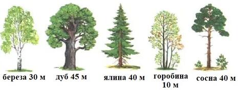 0601xgyx-4c7d-465x176.jpg