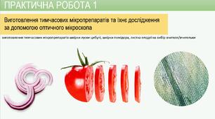 Презентація Біологія 7 кл НУШ Практична робота 1 Виготовлення тимчасових мікропрепаратів та їхнє дослідження за допомогою оптичного мікроскопа